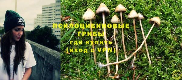 мдма Краснослободск