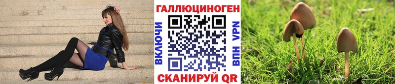 где купить Туран Галлюциногенные грибы мицелий